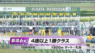 エルザストラウム 1勝C 11戦目  2023年05月14日