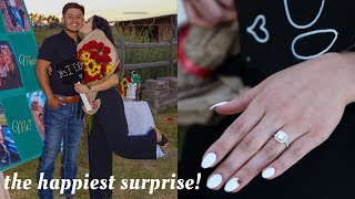 SURPRISE PROPOSAL | WE ARE ENGAGED 💍