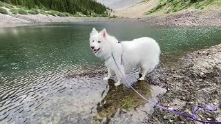 Kananaskis - Old Baldy Ridge, Tarn - 434 - (08.20.24)