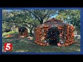 Cheekwood Harvest opens through October with 75,000 pumpkins and 4,000 mums