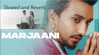Marjaani (slowed + reverb) Tippu Sultan & Flop Likhari | Latest New Punjabi Songs 2022