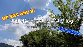 과천서울대공원 동물원 브이로그(2022.07.30) 날을 잘못 잡았나?ㅋㅋㅋ