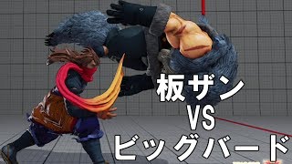 板ザンを圧倒 UAE強豪ビッグバード是空　Itazan(Zangief) VS BigBird(Zeku) FT5