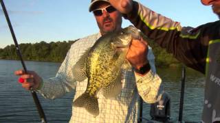 Crappie on Kinkaid Lake, IL