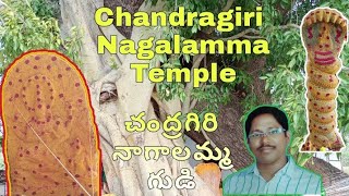 Chandragiri Naagaalamma Temple | chandragirifort