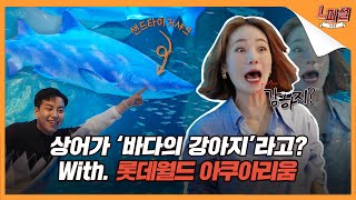 [EVENT]L피셜 시즌3 ep.9 상어가 ‘바다의 강아지’라고?with. 롯데월드 아쿠아리움