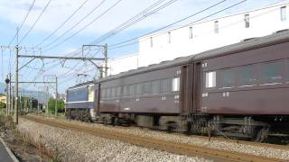 試9762レ　EF64 1001+旧客4B+EF65 501