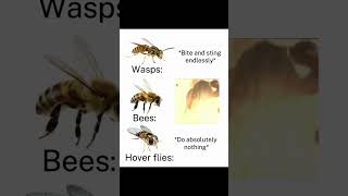 Wasp vs Bee vs Hoverfly: Who's Actually Dangerous? #insects #nature #funny
