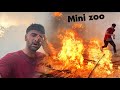 Mini Zoo Main Agg lg Gai Yar Ye Sabtain Ny kia Hrkt ki😡😨