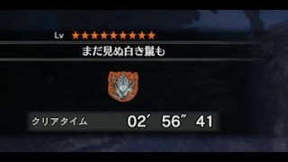 【MHW】 PC版　歴戦王キリンヘビィボウガンソロ2分56秒41