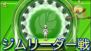 【ポケットモンスター ソード・シールド】ジムリーダー ヤロー戦