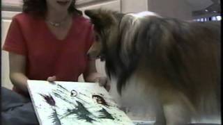 PET CHAT - Documentary about Q-Boy, the Famous Sheltie who painted with his paws