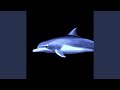 Electric Ocean Drift
