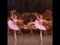 “Paris Opera Ballet in The Sleeping Beauty 👑 #balletclassical   @valeriopalumb”