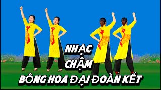 BÔNG HOA ĐẠI ĐOÀN KẾT 💕 NHẠC CHẬM - BIÊN ĐẠO MÓI