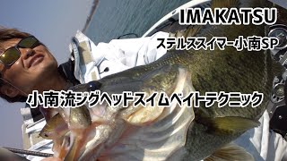 ステルススイマー 小南流ジグヘッドスイムベイトテクニック 【琵琶湖 バス釣り】