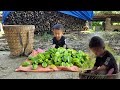 Single mother, 17 years old, takes her child to pick fruits to sell for money, Ly Tieu Anh