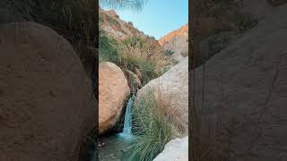 Have you explored the oasis of the Judean Desert - - Ein Gedi!