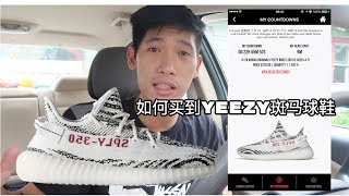 ［sneaker球鞋资讯］如何抢购Adidas Yeezy zebra |义宁TV