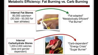 Metabolic Efficiency 101 with Sports Dietitian Dina Griffin