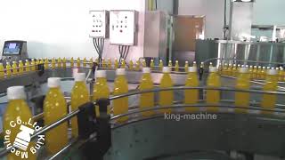 18000BPH PET Juice Production Line