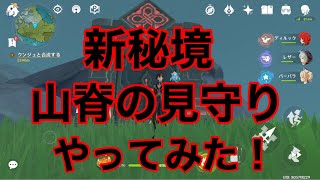 [原神] 新秘境 山脊の見守り やってみた！