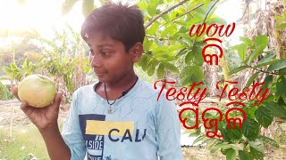 Testy Testy ପିଜୁଳି କିଏ ଖାଇବ ଆସ 🍐🍐🍐