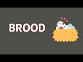 Meaning of BROOD : BROOD meaning