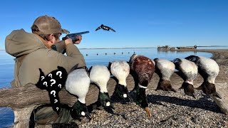 I Went DUCK HUNTING on a SECRET ISLAND! (RARE DUCK)