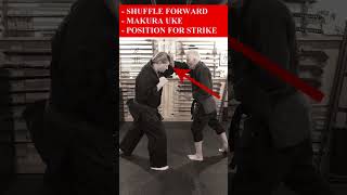 FIGHTING TECHNIQUES 🥋 How To Set Up A LEAD JAB in a FIGHT: Kempo Training #Shorts