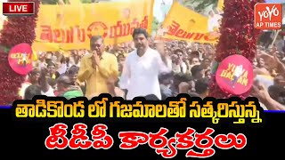 తాడికొండ లో గజమాలతో సత్కరిస్తున్న టీడీపీ కార్యకర్తలు..Lokesh Yuvagalam Padayatra | YOYO AP Times