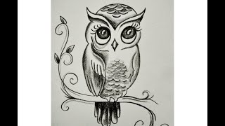 HOW TO DRAW AN OWL / Pencil drawing / Easy Drawing step by step