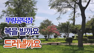 769, 무량공덕장. 복을 빌까요? 드러낼까요?