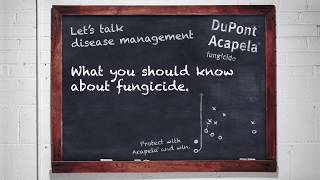 What you should know about fungicide | Corteva Agriscience Canada