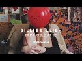 Billie Eilish - Don't Smile At Me (Album Mix  / Full Album)