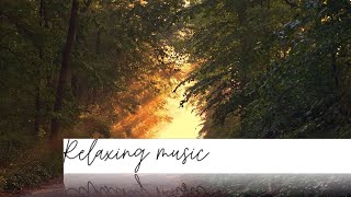 Relaxing music 🎵🎶 | Eternal Garden - Dan Henig 🎧 |
