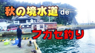 【境水道でフカセ釣り】小チヌ連発！複雑な潮流にフカセ釣りで挑む！【山陰・島根県】