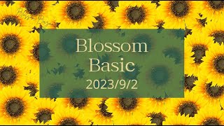 2023年9月2日（土）発送のblossom Basic（花定期便）