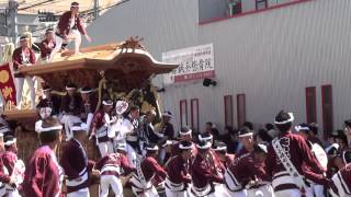 平成26年　春木だんじり祭り　春木地区　弥栄神社祭礼　宵宮　パレード　旧26号