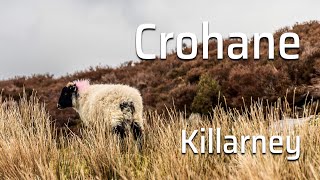 Crohane Hike in Killarney - Ireland