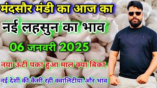 मंदसौर मंडी का आज का नई लहसुन का भाव | New Ooty Garlic Rate | Nayi Lahsun Ka Bhav | Garlic Rate