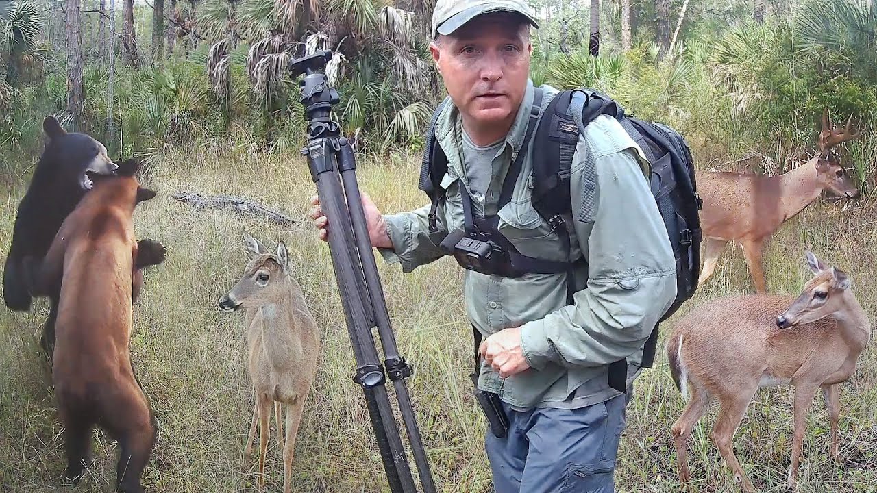 Tim Harrell Swamp Trail Camera Pickup Youtube