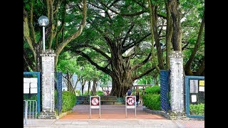 [Kowloon] Kowloon Walled City Park (Attraction)