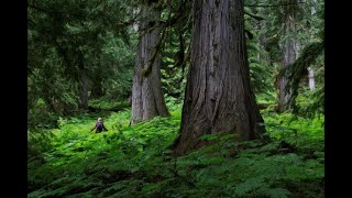 Findings in the Rainbow-Jordan Wilderness - Amber Peters 2019 CRED Talk