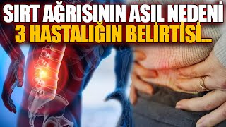 Sırt Ağrısının Asıl Nedeni 3 Hastalığın Belirtisi...