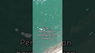 Viral..penampakan bayangan ikan raksasa. #fishing #ikan #mancing #tranding @kandar_official