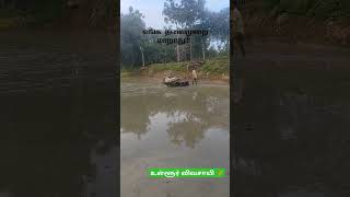 🌾விவசாயம் எங்க தலை முறை மாறாது விவசாயி #sarocrazyking #viralvideo #shorts #vivasayam #subscribe