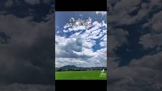 アヒル？ガチョウ？#shorts #short #空 #雲 #アヒル雲#ガチョウ雲