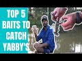 TOP 5 BAITS TO CATCH YABBY'S