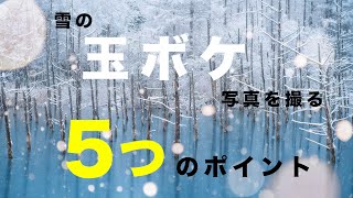 【美瑛】雪の玉ボケ写真を撮る５つのポイント